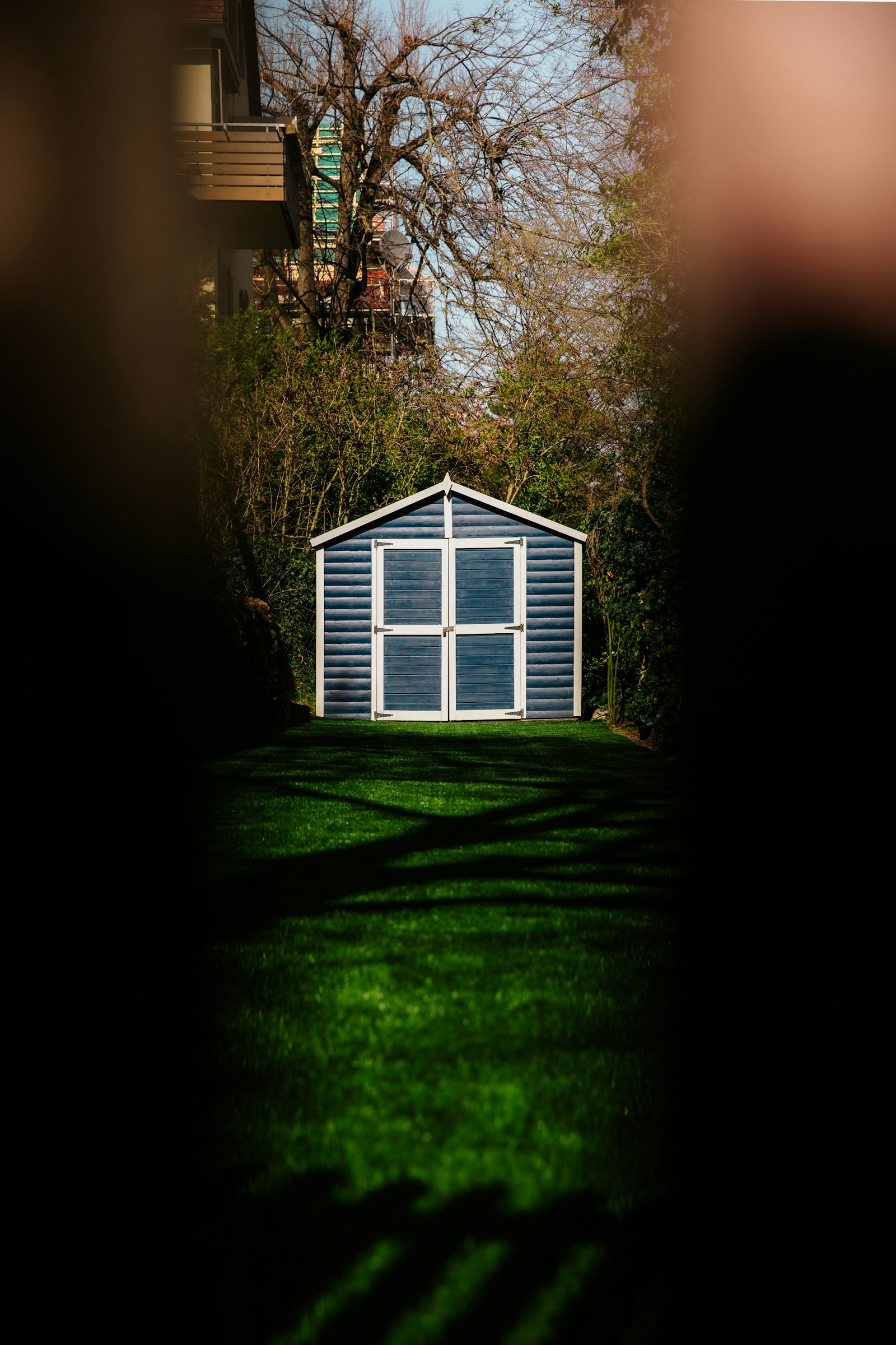 A small detached backyard shed sitting on a green lawn behind a hedge.